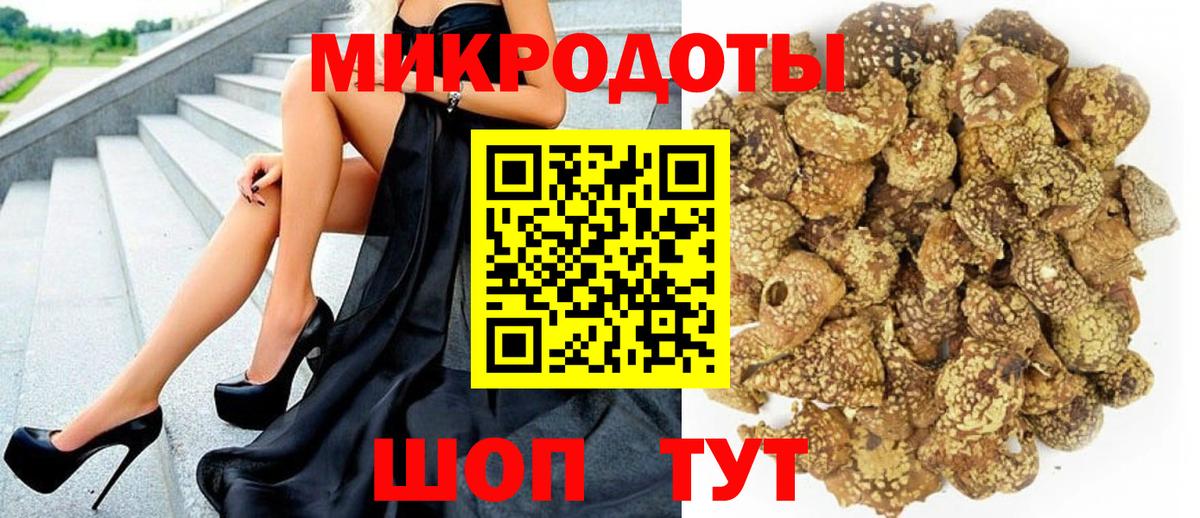 Псилоцибиновые грибы Psilocybe Омск