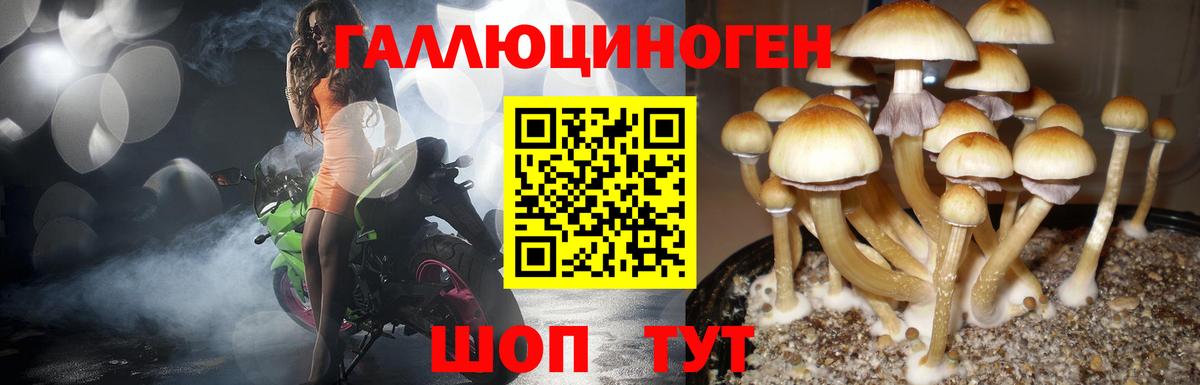 Галлюциногенные грибы Cubensis  Псилоцибиновые грибы MAGIC MUSHROOMS  Омск  Вход с VPN 